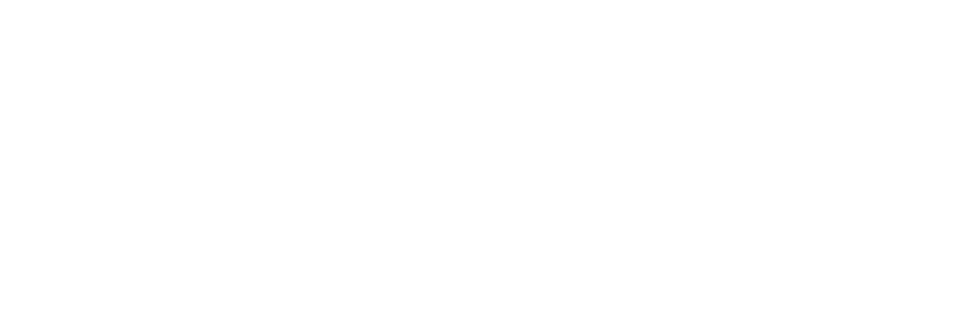 SIS Investigations